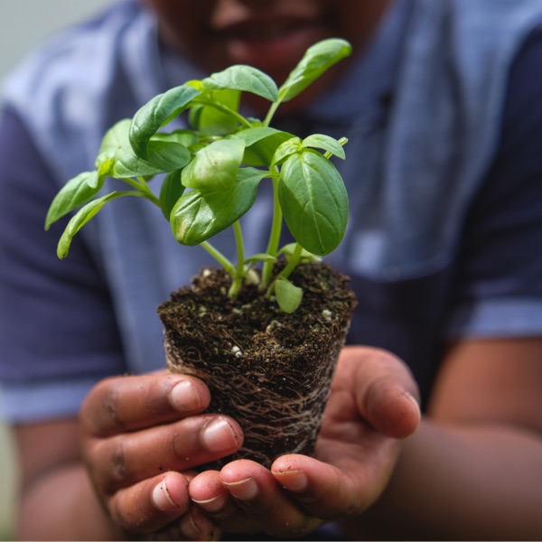 3_Sustainable_overview-14formats